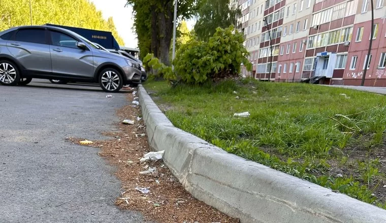 Нижнекамцам объяснили, почему в городе больше не белят бордюры