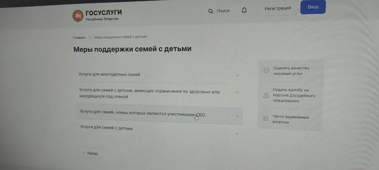 На портале госуслуг РТ появился раздел со всеми мерами поддержки семей с детьми