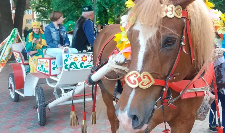 Нижнекамцев приглашают поучаствовать в традиционном сборе даров на Сабантуй