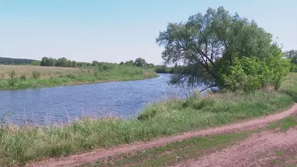 В Татарстане сохранятся сильный ветер и заморозки