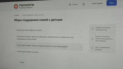 На портале госуслуг РТ появился раздел со всеми мерами поддержки семей с детьми