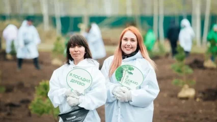 СИБУР в Нижнекамском районе за два года высадил больше полумиллиона саженцев