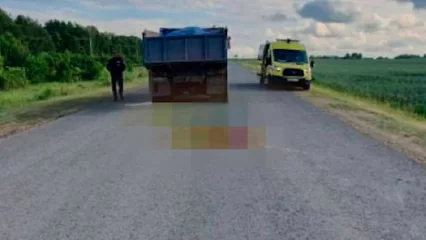 В Татарстане юная наездница упала с лошади и попала под «КАМАЗ»