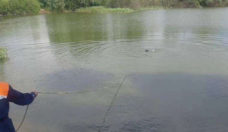 В озере у деревни Куюки в Татарстане утонул пьяный мужчина