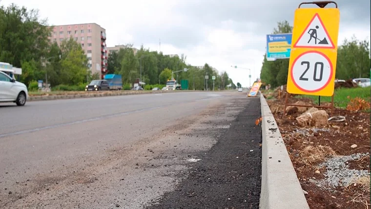 В Нижнекамске принимают программу для безопасности пешеходов с возможным названием «Амелия»