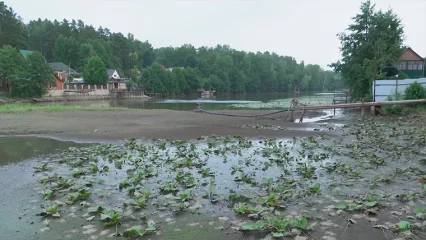 Понедельник встретит татарстанцев дождём и грозой