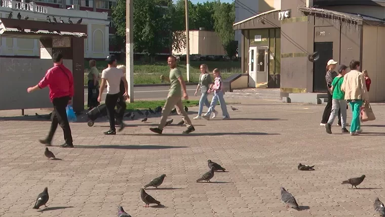 В Нижнекамске ищут мужчину с татуировкой корабля на левой ноге