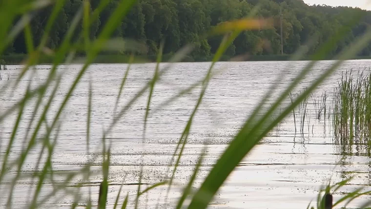 В Нижнекамском районе выросло число утонувших в водоемах