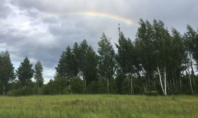 В Татарстане на неделе ожидается жаркая погода с кратковременными дождями