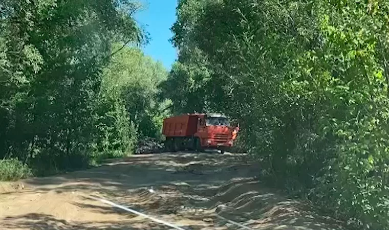 Нижнекамцы стали свидетелями экологического преступления