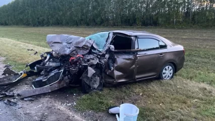 В массовом ДТП на трассе в Татарстане пострадали семеро, один человек погиб