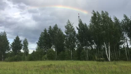 В Татарстане на неделе ожидается жаркая погода с кратковременными дождями