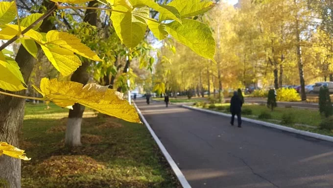 В воскресенье в Татарстане сохранится жаркая сухая погода