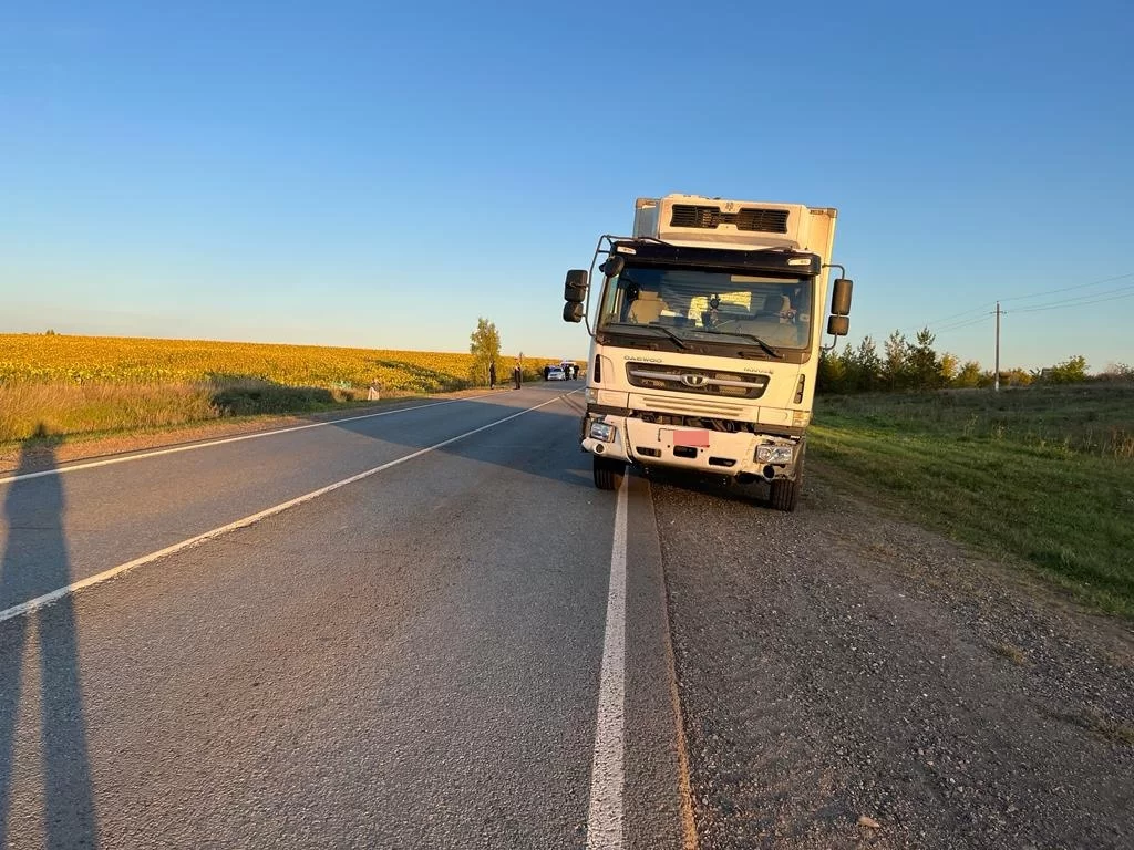 В Татарстане на трассе грузовик насмерть сбил трехлетнего ребенка