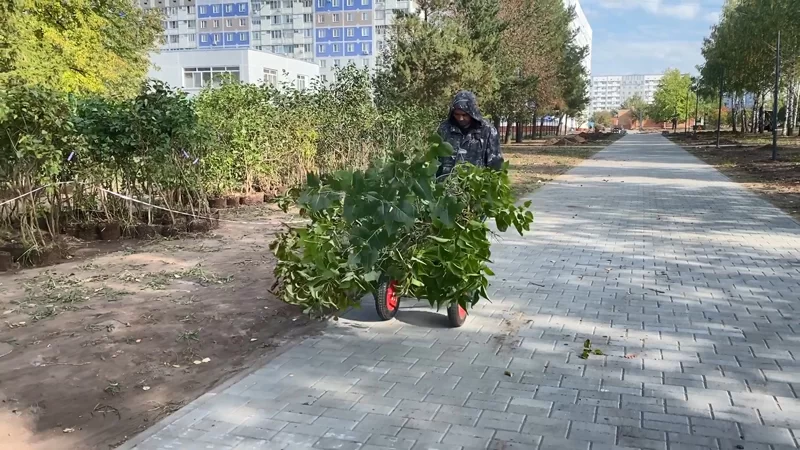 Сиреневый бульвар