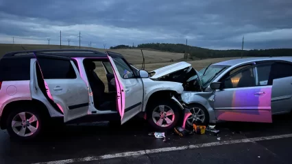 В ДТП на трассе в Татарстане погибли женщина и двухлетняя девочка