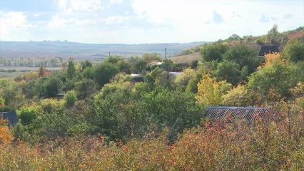 В воскресенье в Татарстане ожидается туман и северный ветер