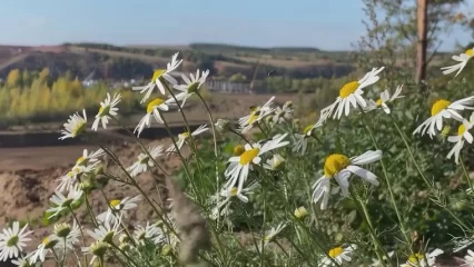 Синоптики прогнозируют небольшое похолодание в Татарстане