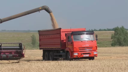 В Нижнекамском районе завершилась хлебоуборочная кампания