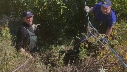 В Татарстане пьяный мужчина упал в ручей и захлебнулся