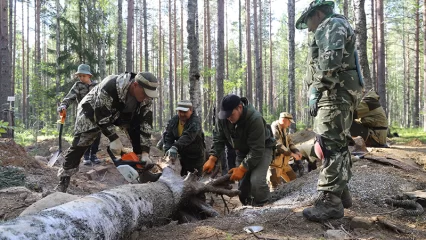 Вернулись домой