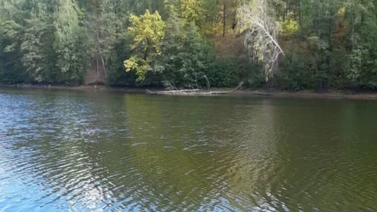 В Нижнекамском районе на озере возле дач утонул мужчина