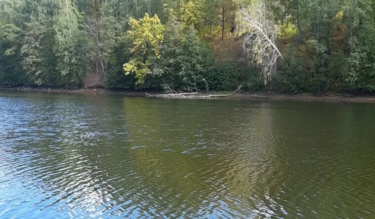 В Нижнекамском районе на озере возле дач утонул мужчина