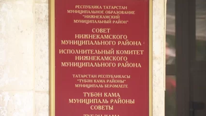 Одним словом – команда: новые руководители в исполкоме НМР