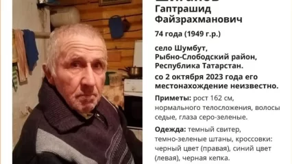 Нижнекамец разыскивает пропавшего 3 дня назад пожилого отца