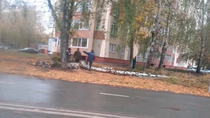 В Нижнекамске из-за сильного ветра упало дерево