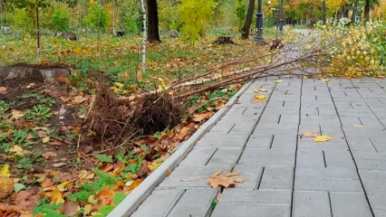 В Татарстане сохранится сильный ветер до 28 м/с, ожидается мокрый снег