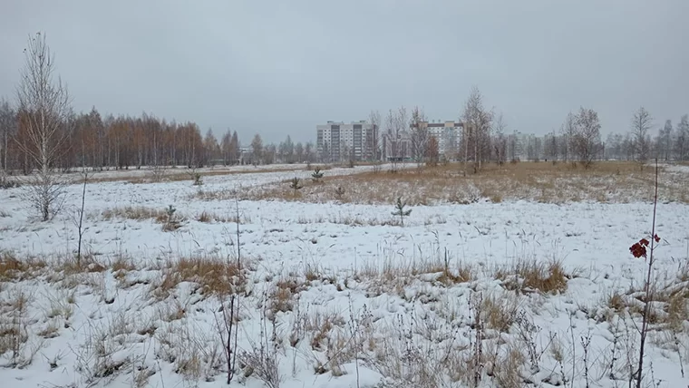 В воскресенье в Татарстан придут дожди и потепление