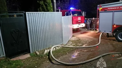 В Татарстане при пожаре в дачном домике погибла женщина