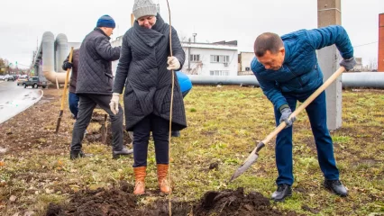 В Нижнекамске на ул. Ахтубинской высадили более 600 тополей