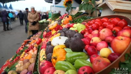 Врач назвала главные правила здорового питания 