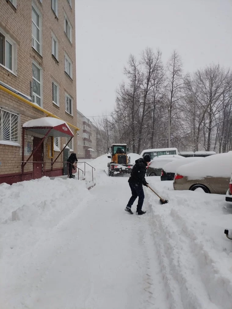 Нижнекамцы продолжают борьбу со снегом в рамках акции «Снежные волонтеры»