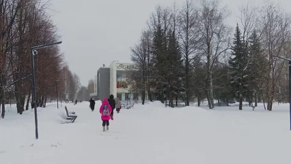 Доцент КФУ рассказал, когда ждать потепления в Татарстане