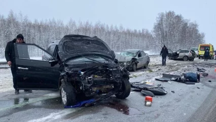 В субботу и понедельник – пешком