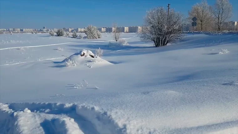 Нижнекамцы заметили сильный и едкий запах в городе, экологи отобрали пробы