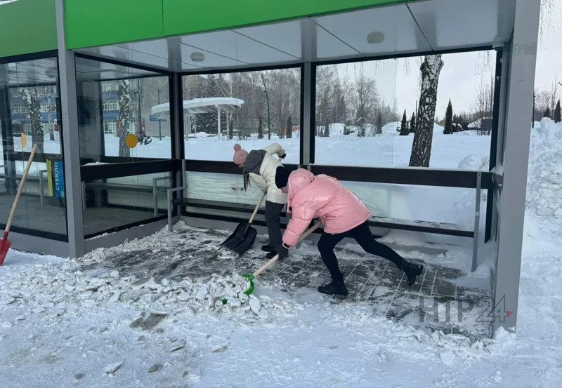 Работники исполкома Нижнекамского муниципального района вышли на уборку снега вместе с главой Рамилем Муллиным