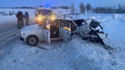 В Татарстане на трассе скончалась пенсионерка, попавшая в ДТП