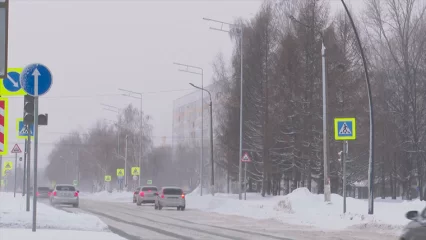 Жителей Татарстана в понедельник ожидает потепление до +1 и метель