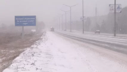 Водителям и пешеходам Татарстана напомнили об осторожности в метель