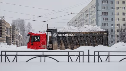 Дежавю в снегу