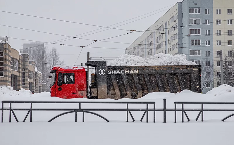 Дежавю в снегу