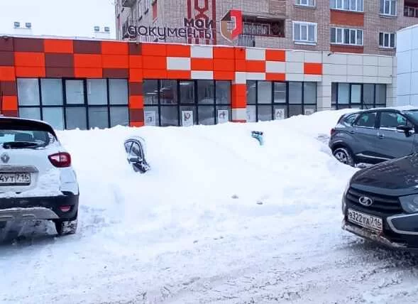 В Нижнекамске начали появляться «подснежники»