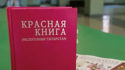 Красную книгу Татарстана переиздадут в 2025 году