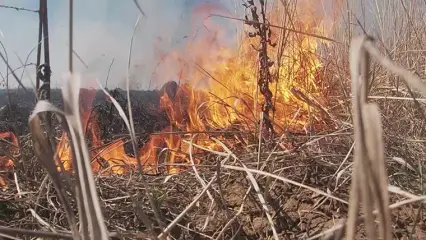 С 15 апреля в Татарстане начнется пожароопасный сезон