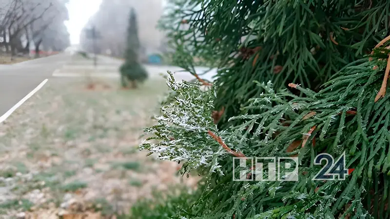 Последний день апреля принесёт заморозки в Татарстан