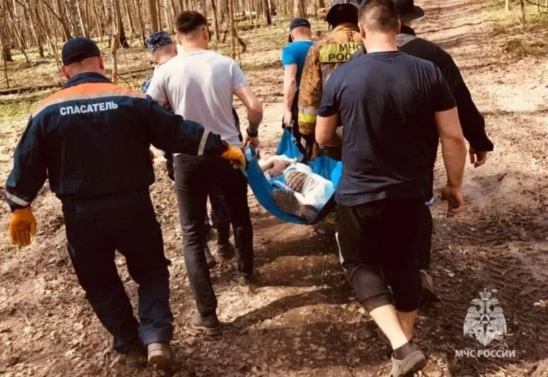 В Казани на пенсионерку упало дерево и повредило ногу